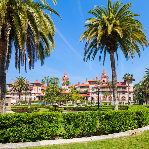 palm trees in St. Augustine